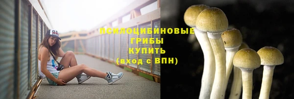 гидропоника Алзамай