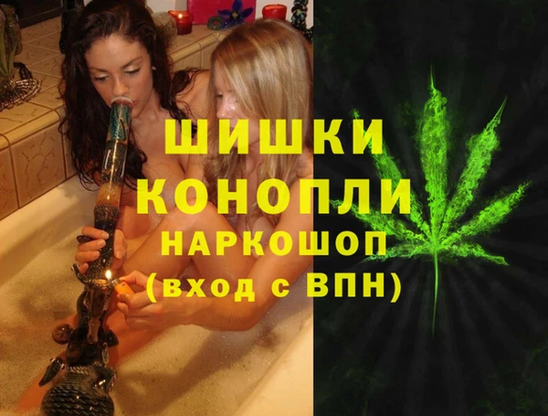 МДПВ Алексин