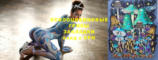 МДПВ Алексин