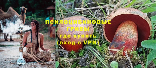 гидропоника Алзамай