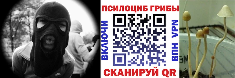 Псилоцибиновые грибы мухоморы  Тихвин 